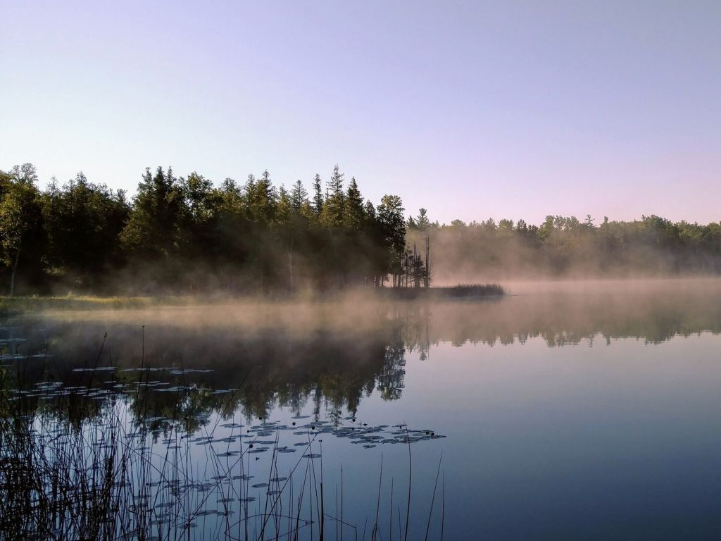 Sleep Quality Shapes Morning Energy More Than Alarm Time Person sleeping peacefully in morning light